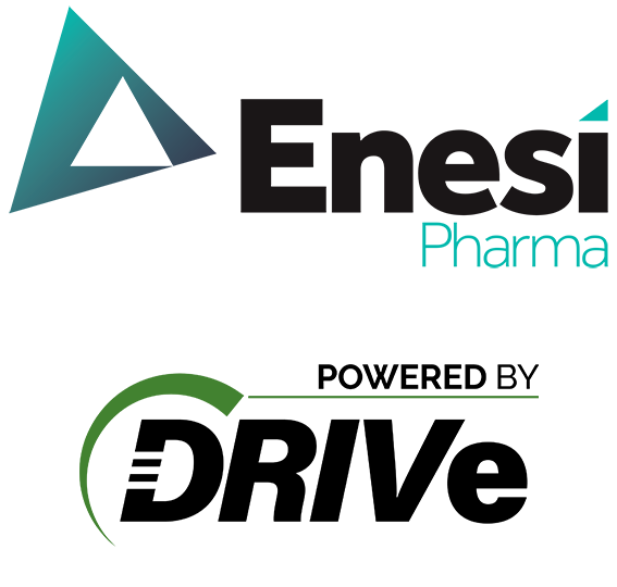 ENESI Logo