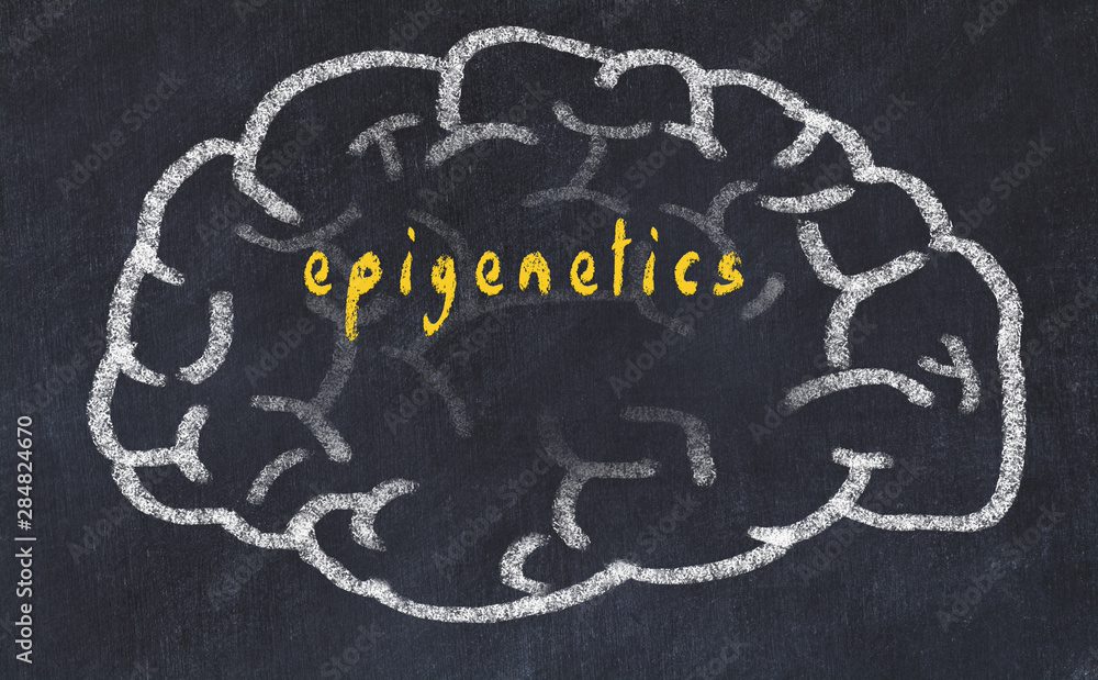 Epigenetics Logo